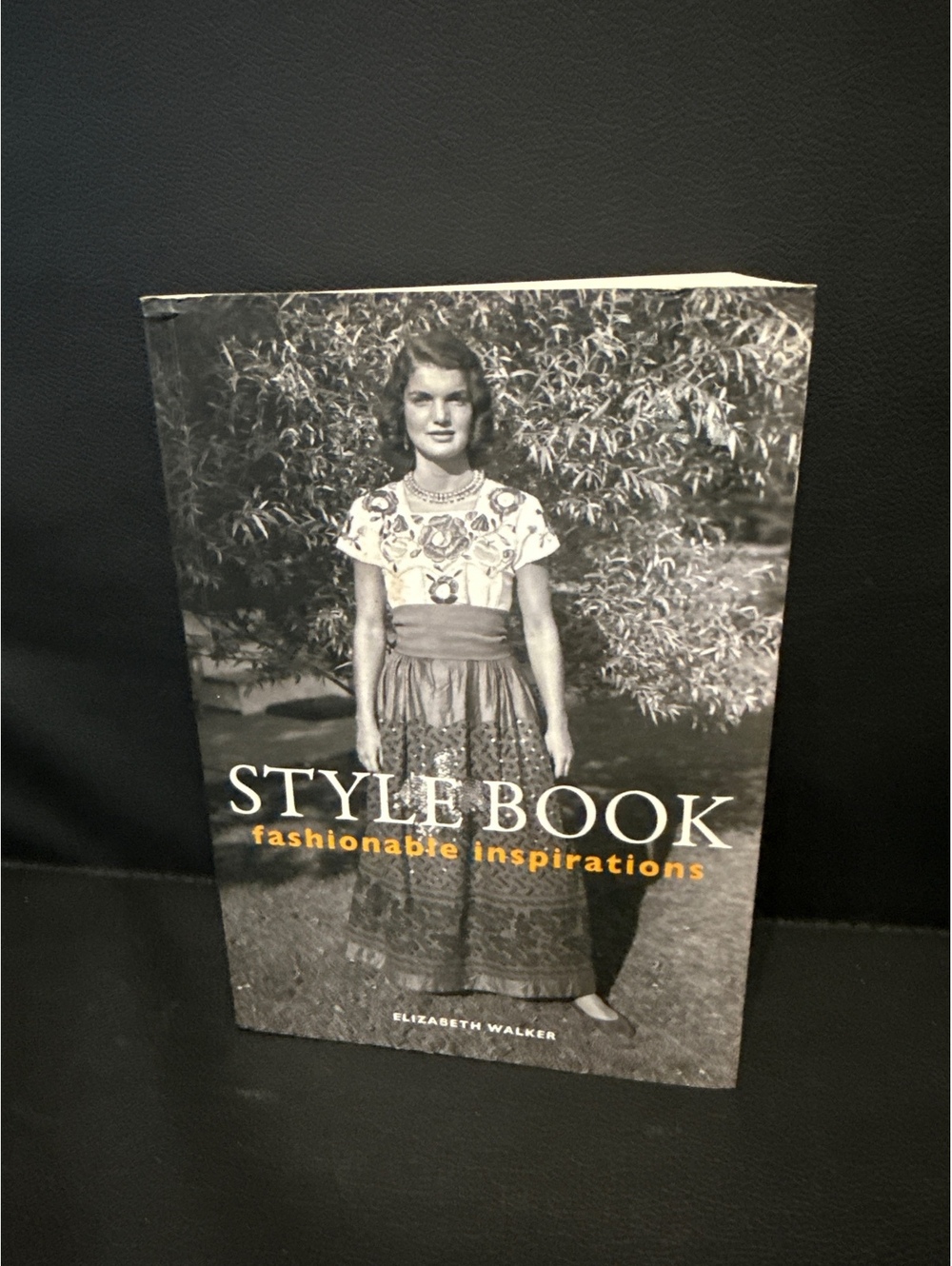 Style Book: Fashionable Inspirations by Elizabeth Walker